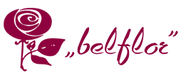 Belflor – Blumen und Kränze online bestellen Logo